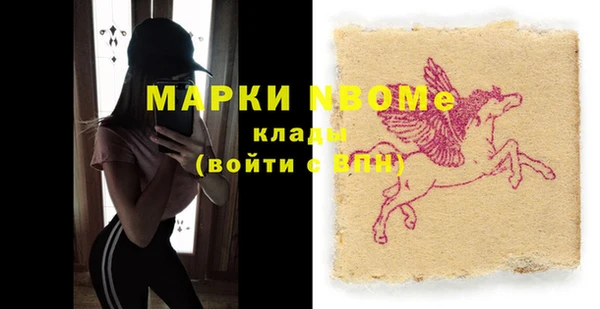 хмурый Алзамай