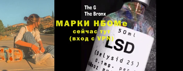хмурый Алзамай