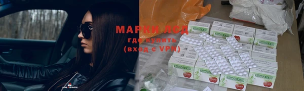 прущие грибы Козельск